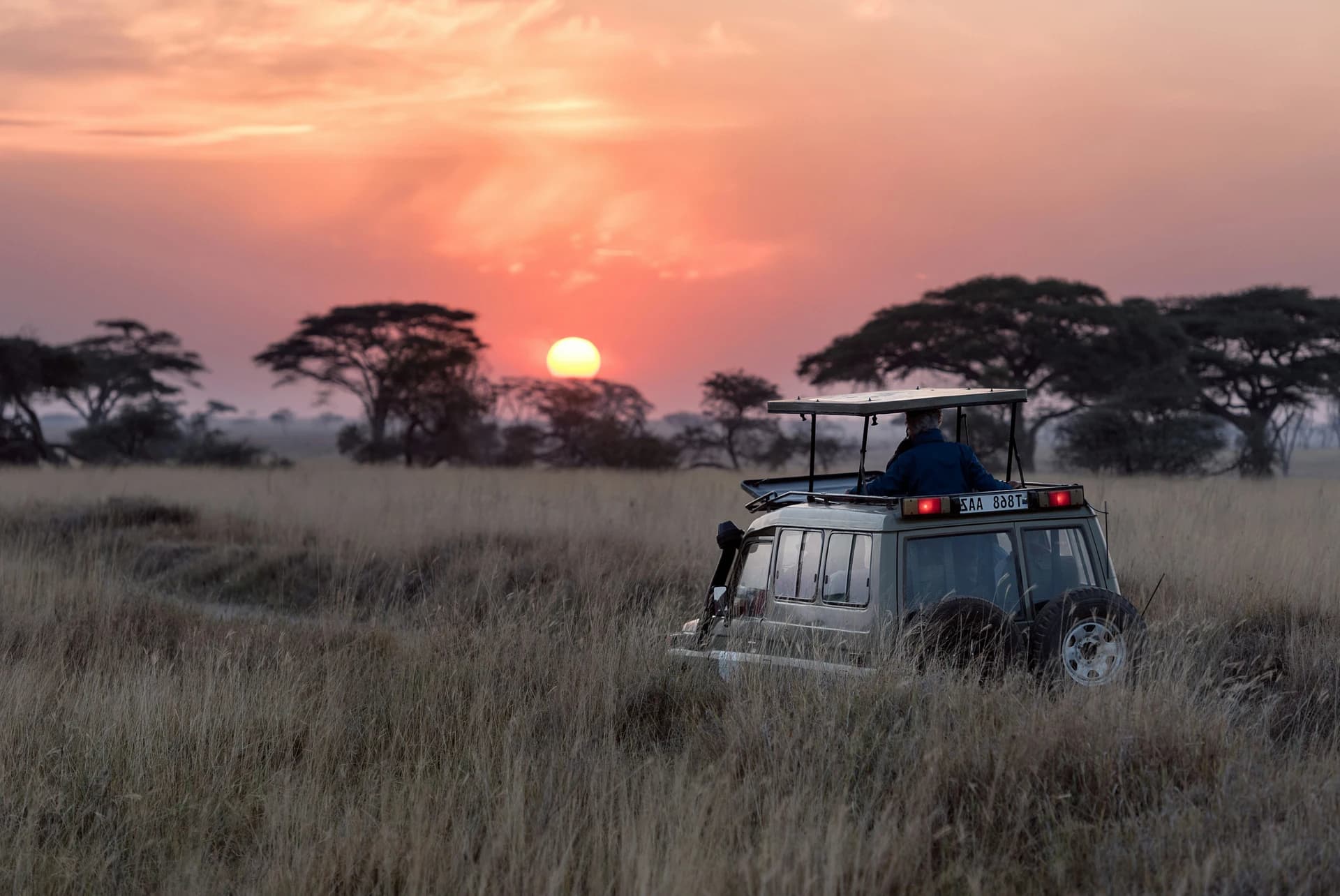 A jeep traversing across a safari landscape